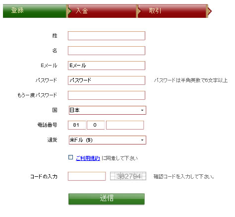 VIPオプション口座開設入力フォーム画像