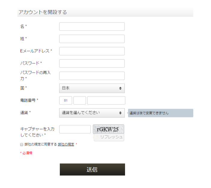 ファイブスターズオプション口座開設入力
