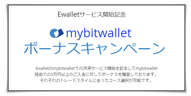 theoptionメール内容