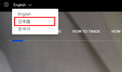 theoption口座開設